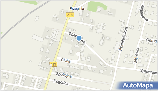 Skrzynka pocztowa, Spacerowa 2B, Siemianice 76-200 - Skrzynka pocztowa