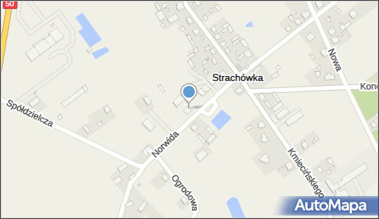 Skrzynka pocztowa, Cypriana Kamila Norwida 6, Strachówka - Skrzynka pocztowa