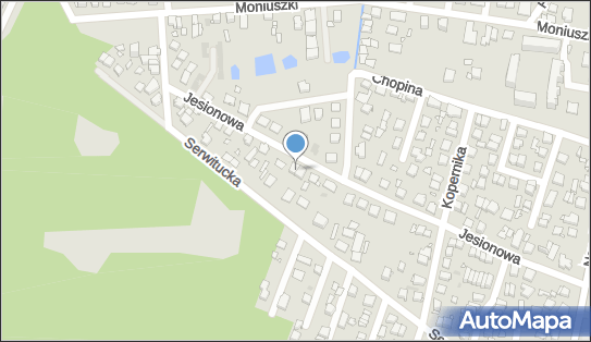 1250368977, Zakład Usługowy - Ślusarstwo Narzędziowe Witold Dąbrowski 