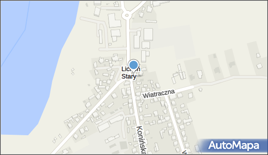 ALEX, Konińska 42, Stary Licheń 62-563 - Spożywczy, Przemysłowy - Sklep