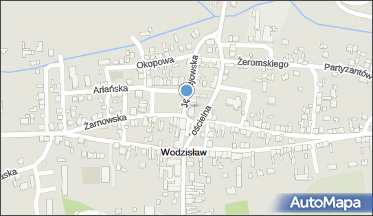 Amex, Plac Wolności 33, Wodzisław - Spożywczy, Przemysłowy - Sklep, numer telefonu