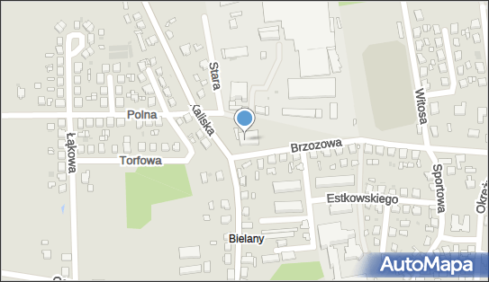 AMI, Brzozowa 1B, Mikstat 63-510 - Spożywczy, Przemysłowy - Sklep
