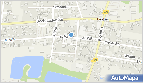 ARTYKUŁY PRZEMYSŁOWE, Aleja Wojska Polskiego 11, Leszno - Spożywczy, Przemysłowy - Sklep, numer telefonu