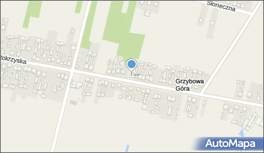 6641537406, Firma Handlowo Usługowa - Sklep Spożywczy 