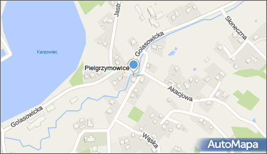 Kiełkowski Edward i Iwona Sklep Spożywczo Warzywny i Przemysłowy 43-253 - Spożywczy, Przemysłowy - Sklep, NIP: 6331150788