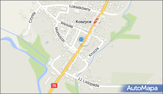 KUBUŚ, DK 79 x DW 768, Rynek, Koszyce - Spożywczy, Przemysłowy - Sklep