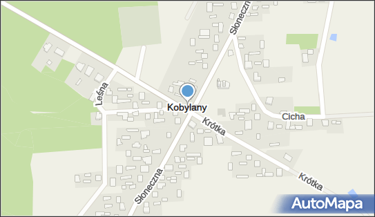 Mariusz Szmulik Sklep Spożywczo-Przemysłowy, Kobylany 62 21-540 - Spożywczy, Przemysłowy - Sklep, NIP: 5371584268