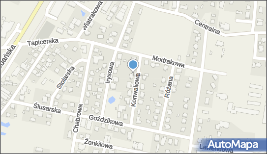 5540163211, Kwiatkowska Romanna Sklep Spożywczo - Przemysłowy 