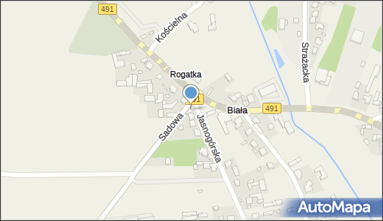 Sklep Monopolowy Katarzyna Talajczyk, ul. Jasnogórska 1, Biała 42-125 - Spożywczy, Przemysłowy - Sklep, NIP: 5741043761