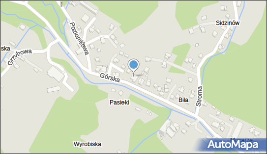 5470121175, Sklep Ogólnospożywczy i Przemysłowy Galas Teresa 