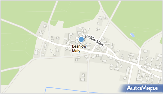 Sklep Ogólnospożywczy, Leśniów Mały 12, Leśniów Mały 66-016 - Spożywczy, Przemysłowy - Sklep, NIP: 9730074470