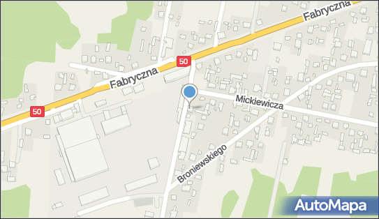 8241525062, Sklep Ogólno - Spożywczy Elżbieta Tryc 