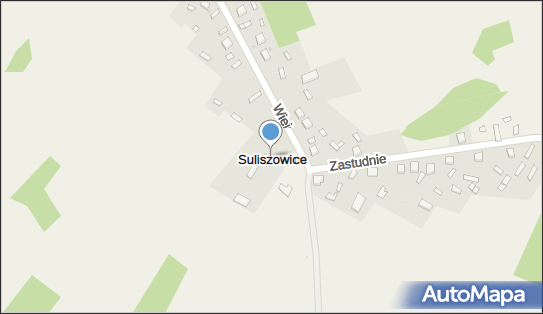 Sklep Ogólnospożywczy, Suliszowice 17, Suliszowice 42-310 - Spożywczy, Przemysłowy - Sklep, NIP: 5771626970