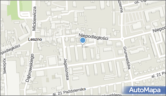 Sklep Owocowo Warzywny, ul. Prochownia 21, Leszno 64-100 - Spożywczy, Przemysłowy - Sklep, numer telefonu, NIP: 6971617597