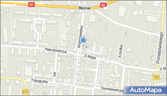 010069946, Sklep Przemysłowo-Spożywczy, Witkowski Paweł 