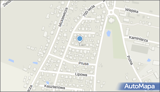 6991349450, Sklep Spoż.-Warzywniczy Jadwiga Gilewska, Jutrosin 