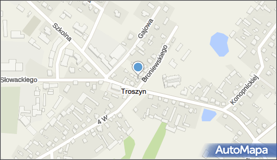 Sklep Spożywczo Mięsny Leszek Ryszard Tabor, Troszyn 07-405 - Spożywczy, Przemysłowy - Sklep, NIP: 7581504101