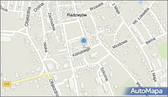 8890002869, Sklep Spożywczo - Monopolowy 