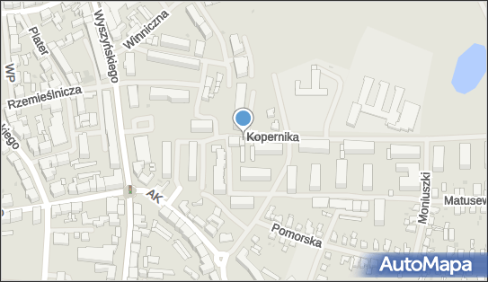6731074832, Sklep Spożywczo-Przemysłowy ''Alfik'' Monika Marciniak 