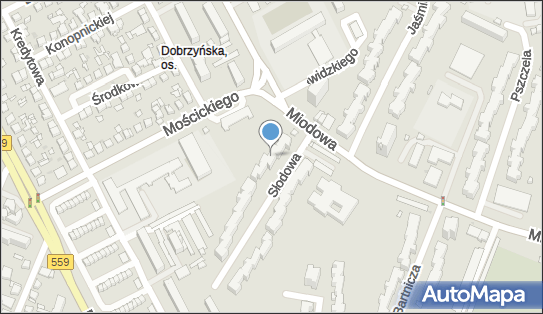 Sklep Spożywczo Przemysłowy Alf, ul. Słodowa BN, Płock 09-402 - Spożywczy, Przemysłowy - Sklep, NIP: 5671084943