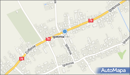 Sklep Spożywczo Przemysłowy Dana, Igołomia 257, Igołomia 32-126 - Spożywczy, Przemysłowy - Sklep, NIP: 6821068999