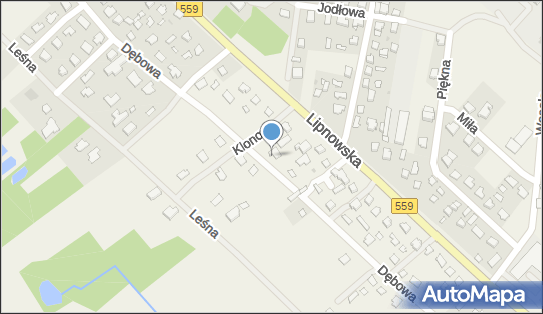 Sklep Spożywczo Przemysłowy Handel Obwoźny Majewski Jarosław Stanisław 09-400 - Spożywczy, Przemysłowy - Sklep, NIP: 7741912502