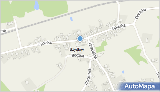 9910250371, 1.Sklep Spożywczo Przemysłowy Chłopecka Gizela, Koczorek Sylwia 2.Biuro Rachunkowe Fortis Wioletta Sukiennik Sylwia Koczorek 
