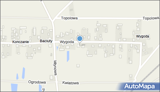 9660845725, Sklep Spożywczo-Przemysłowy Pijalnia Piwa Polak Jadwiga 