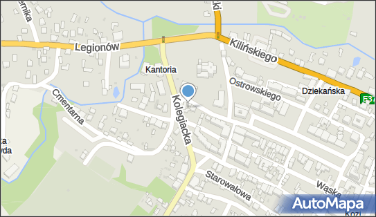 8631245643, Sklep Spożywczo-Przemysłowy 