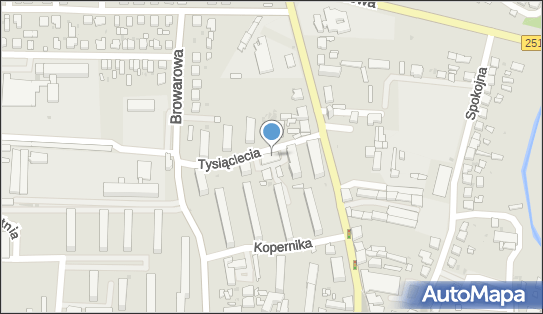 090071211, Sklep Spożywczo-Przemysłowy Spółka Cyw.Brzykca U.Czerniak A. 