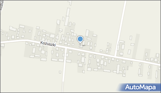 5381012705, Sklep Spożywczo-Przemysłowy Teresa Kokoszkiewicz 