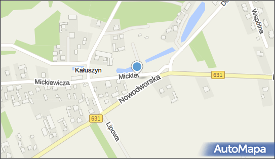 5310004785, Sklep Spożywczo-Przemysłowy, Trzaskoma Agnieszka, Lewandowska Bogumiła 