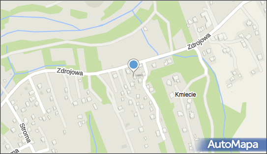6810001313, Śliwa Janina Sklep Spożywczo-Przemysłowy 
