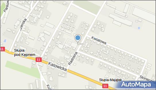 003354661, Skąpski Marek Sklep Spożywczo Przemysłowy 