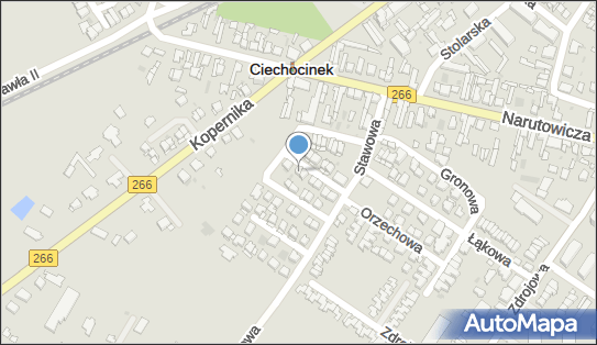 Sklep Spożywczo Przemysłowy, Wiśniowa 11, Ciechocinek 87-720 - Spożywczy, Przemysłowy - Sklep, NIP: 8911000871