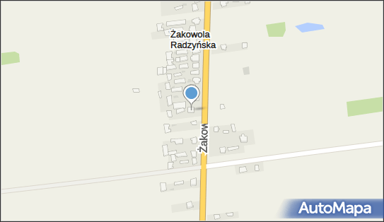 030291959, Sklep Spożywczo-Przemysłowy - Marian Litwiniec 