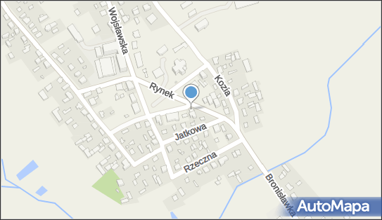 9191019221, Sklep Spożywczo - Przemysłowy Ewa Skrzyńska 