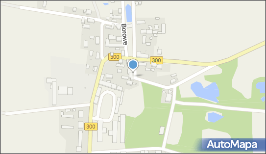 Sklep Spożywczo Przemysłowy, Borowe 18, Borowe 68-120 - Spożywczy, Przemysłowy - Sklep, NIP: 9241608446