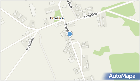 9270001238, Sklep Spożywczo-Przemysłowy Wioletta Pałysa-Borkowska 