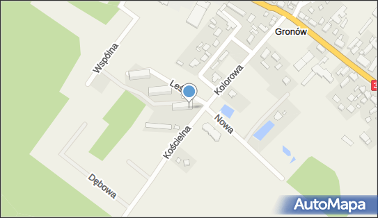 Sklep Spożywczo Przemysłowy, Leśna 1A, Gronów 66-615 - Spożywczy, Przemysłowy - Sklep, NIP: 9261100633