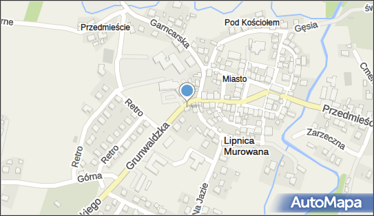 8681004195, Sklep Spożywczo - Przemysłowy Elżbieta Tyrała 