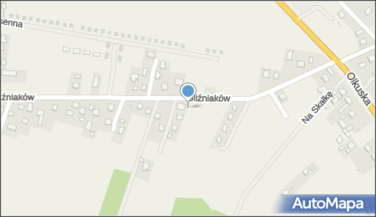 Sklep Spożywczo Przemysłowy, Bliźniaków 31, Wielka Wieś 32-089 - Spożywczy, Przemysłowy - Sklep, NIP: 9451336037