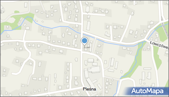 Sklep Spożywczo Przemysłowy, Pleśna 236, Pleśna 33-171 - Spożywczy, Przemysłowy - Sklep, NIP: 8731424256