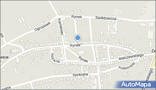 8691001695, Sklep Spożywczo-Przemysłowy Małgorzata Migdał 