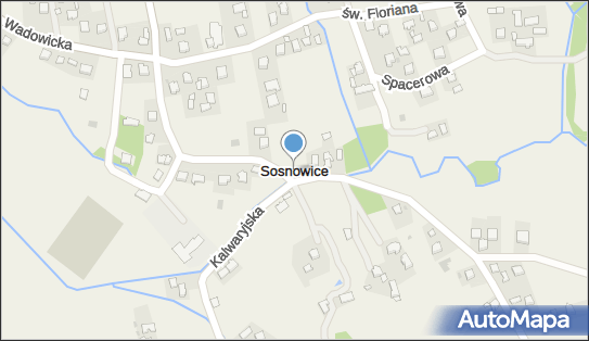 Sklep Spożywczo Przemysłowy, Sosnowice 16, Sosnowice 34-113 - Spożywczy, Przemysłowy - Sklep, numer telefonu, NIP: 5511126472
