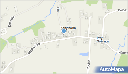 Sklep Spożywczo Przemysłowy, Kopytówka 76, Kopytówka 34-113 - Spożywczy, Przemysłowy - Sklep, NIP: 5511005001
