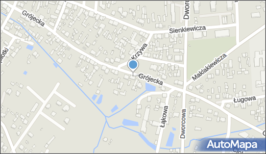 8381015697, Sklep Spożywczo-Przemysłowy Jolanta Wilczyńska 