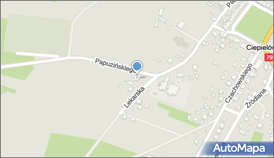 Sklep Spożywczo Przemysłowy, Papuzińskiego 61, Ciepielów 27-310 - Spożywczy, Przemysłowy - Sklep, NIP: 8111280538
