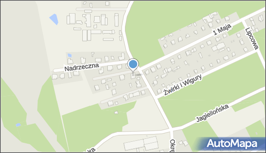 Sklep Spożywczo Przemysłowy, ul. Topolowa 11, Henryszew 96-316 - Spożywczy, Przemysłowy - Sklep, NIP: 8381588803