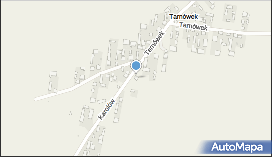 Sklep Spożywczo Przemysłowy, Tarnówek 123, Tarnówek 27-350 - Spożywczy, Przemysłowy - Sklep, NIP: 8111478683